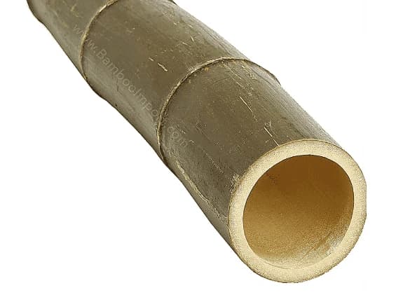 Bamboepalen